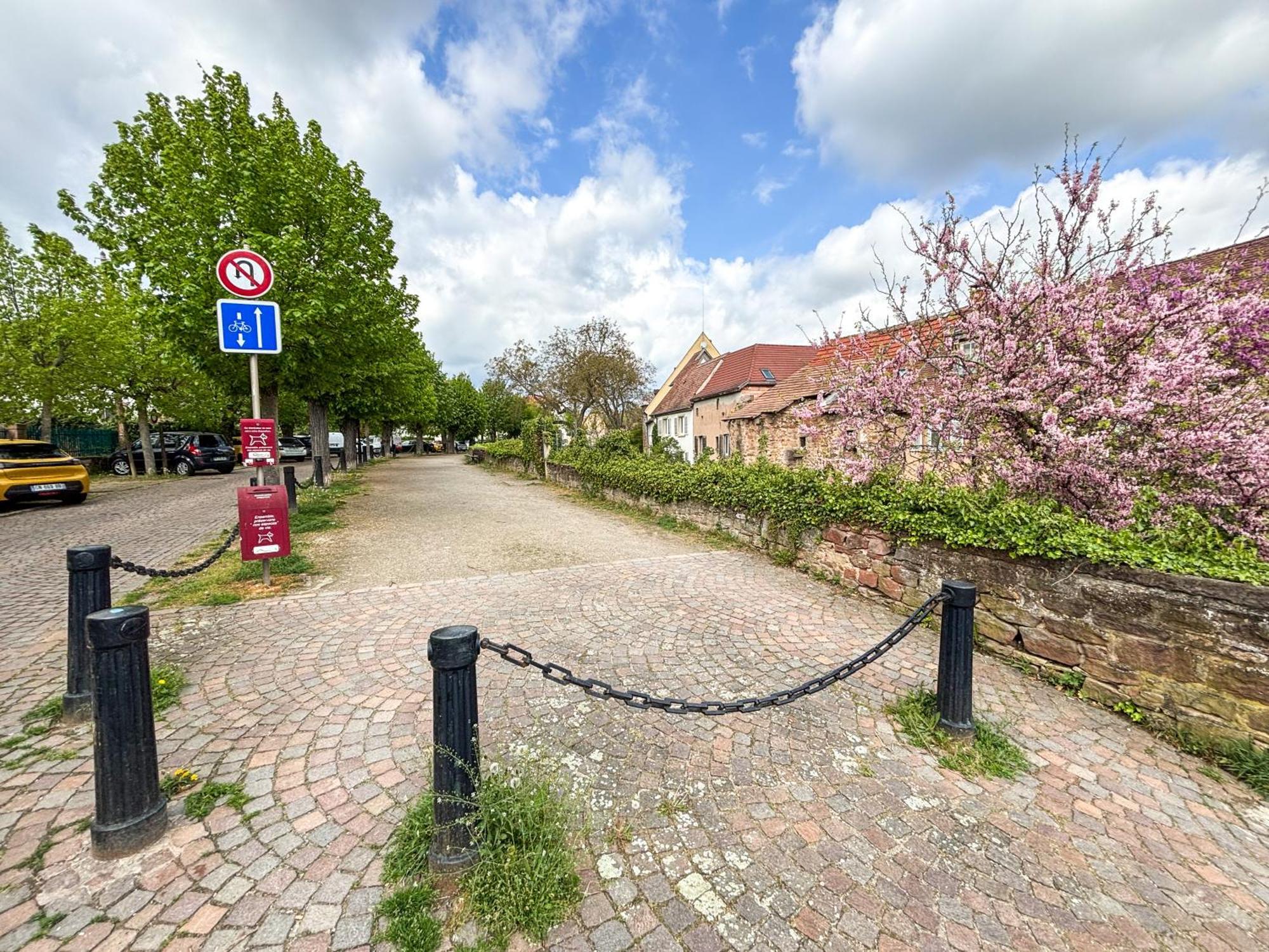 Le Pavillon Des Remparts - Commerces A Proximite - Centre-Ville - Appartement Cosy Ομπερναί Εξωτερικό φωτογραφία